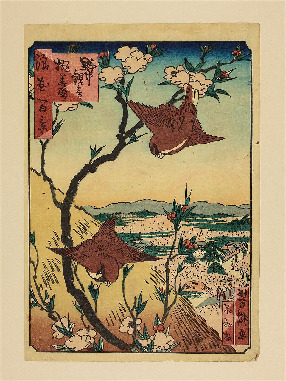 野中観音桃華盛り