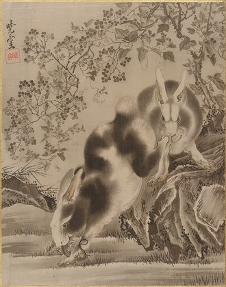 Rabbits