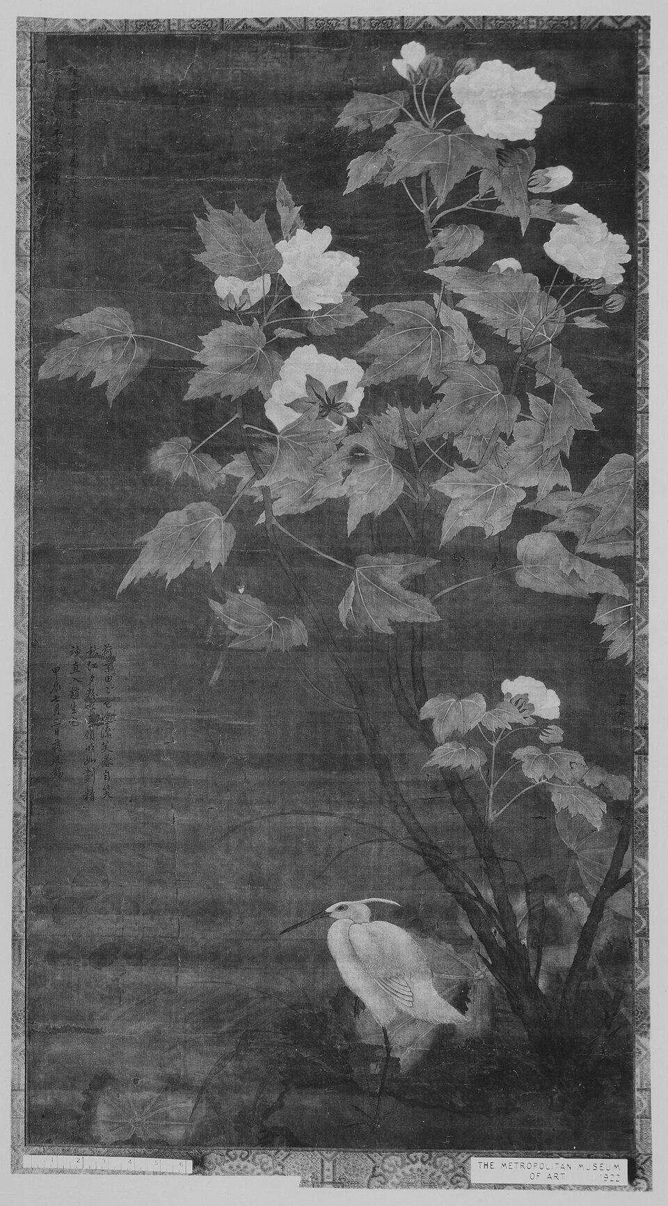 Hibiscus and Egret