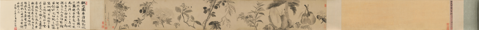 王铎花卉卷