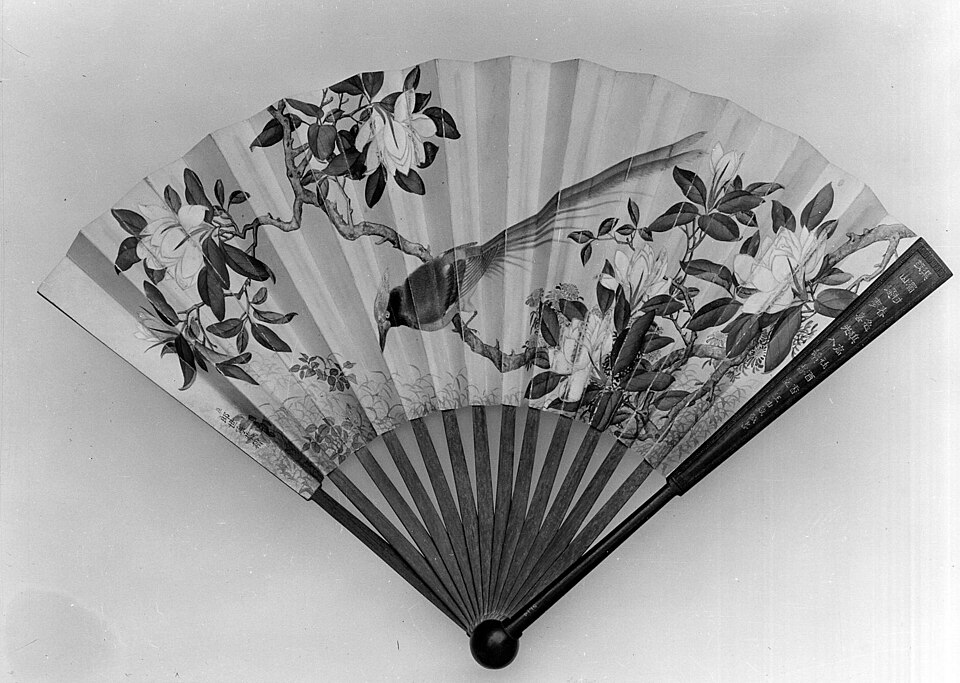 Fan