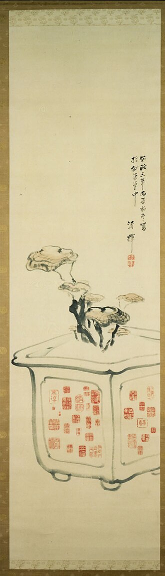 Plant and Seals