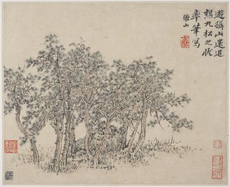 Album of Landscapes, Plants, Figures and Animals: Grove of Pines