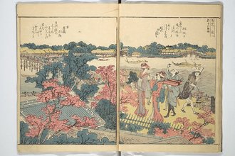 隅田川両岸一覧 上 市中の花