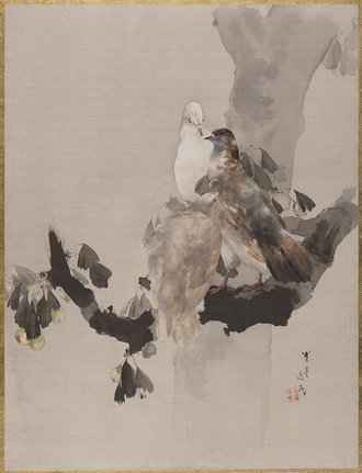 Pigeons in a Tree