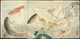 藤花鯉魚