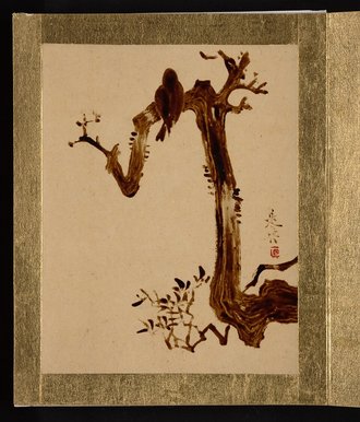 Crow on Tree