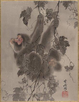 Monkey Hanging from Grapevines