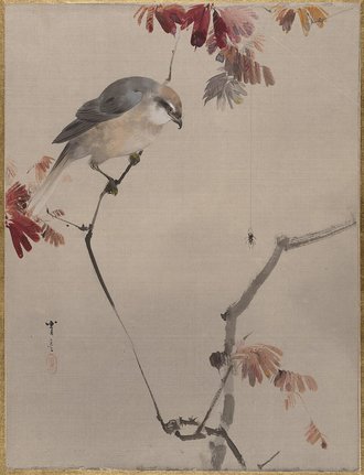 Bird on Branch Watching Spider