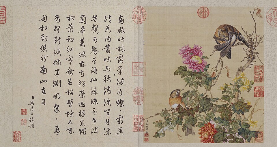 郎世宁花鸟图册