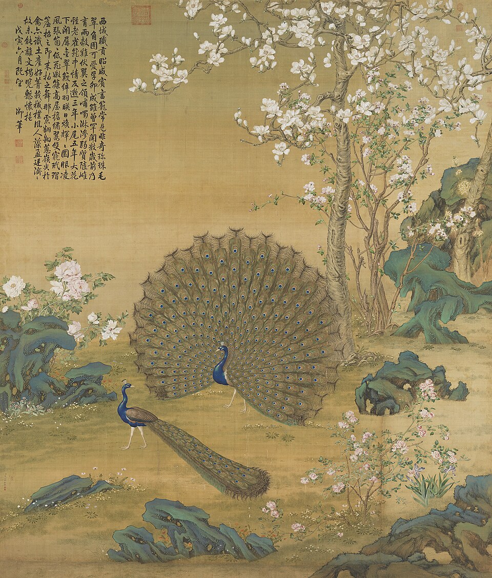 清郎世寧孔雀開屏 軸