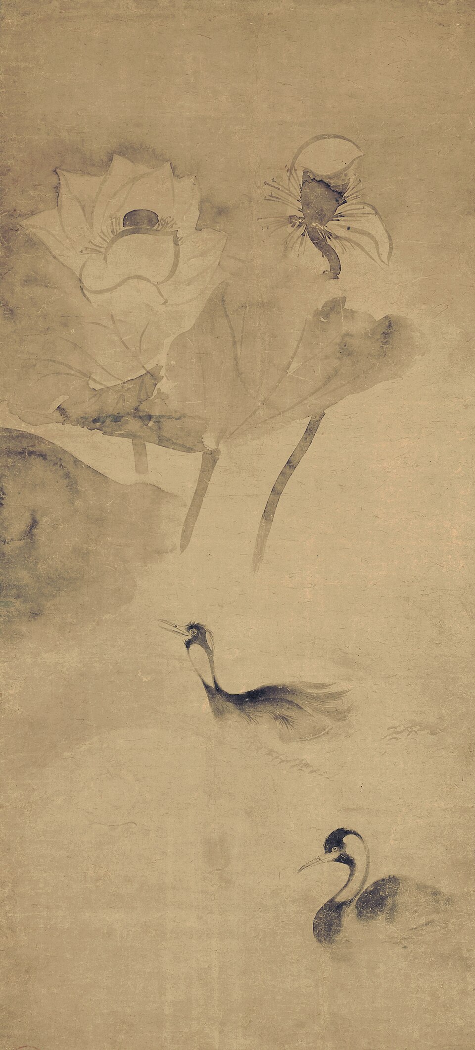 蓮池水禽図