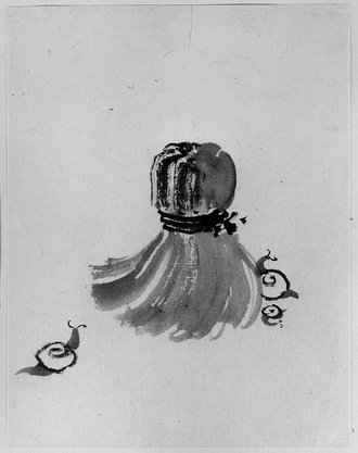 Snails and Tawashi Scrubber