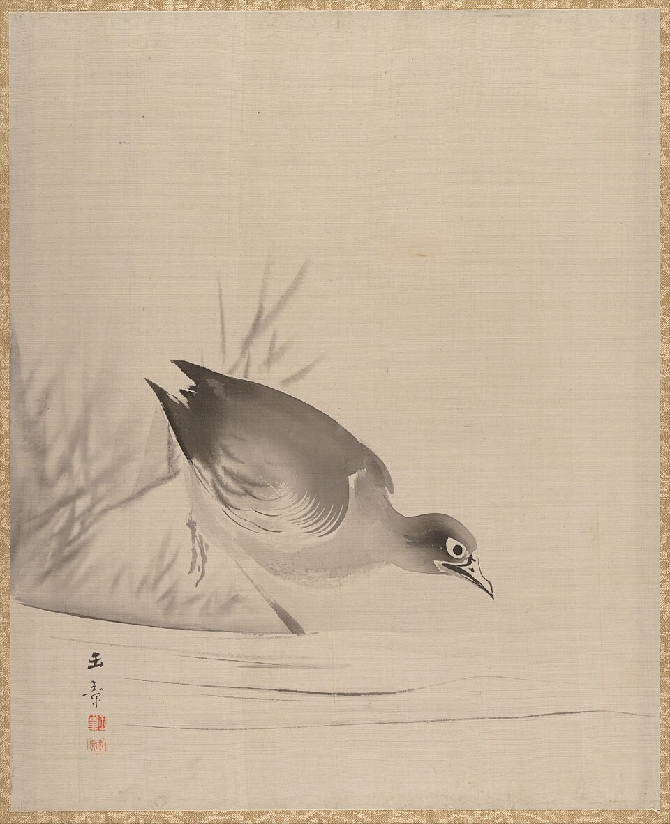 Bird at the Water's Edge