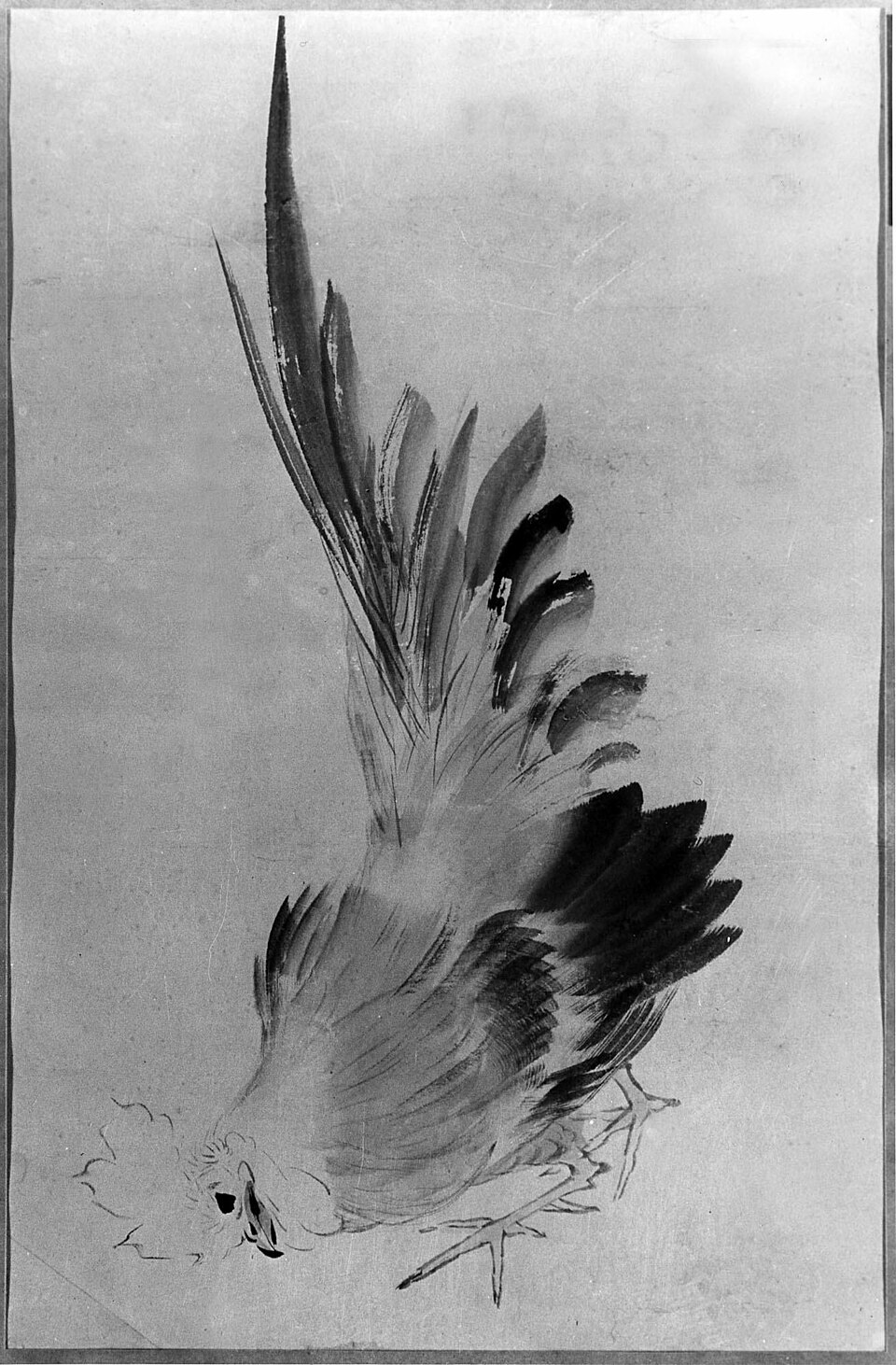 Cock