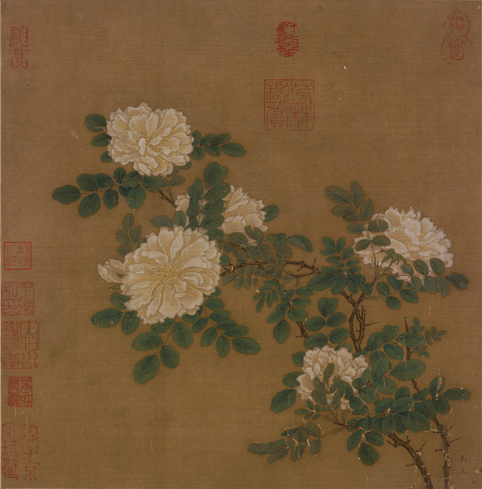 马远白蔷薇图页