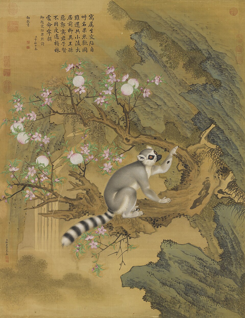 清郎世寧畫交阯果然　軸