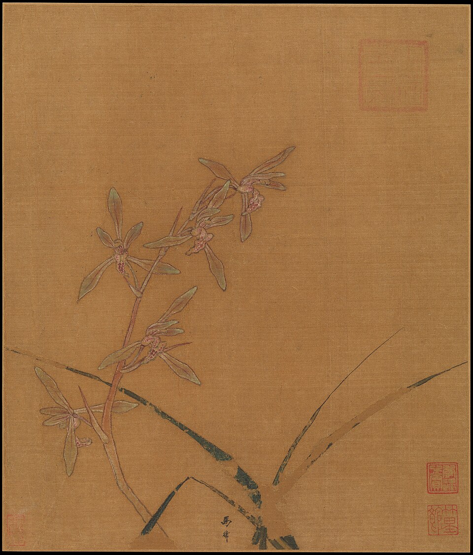 Orchids