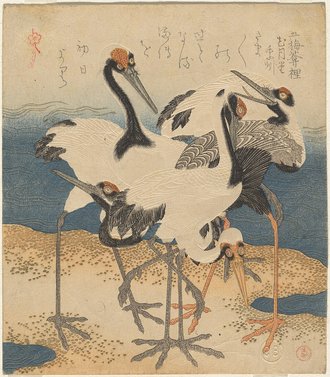 Five cranes on a spit of sand (CBL J 2284)