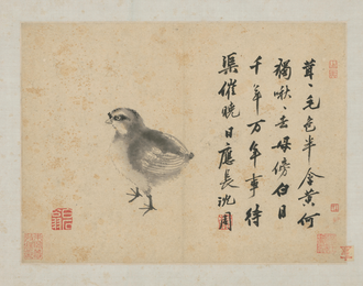 沈周卧游图册－雏鸡