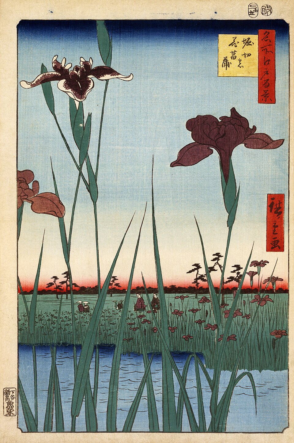 名所江戸百景 堀切の花菖蒲