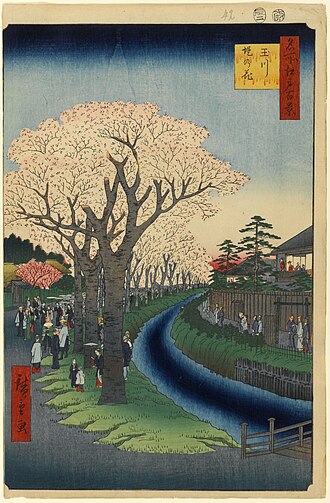 名所江戸百景 玉川堤の花