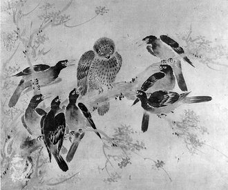 Mynah Birds Attacking an Owl