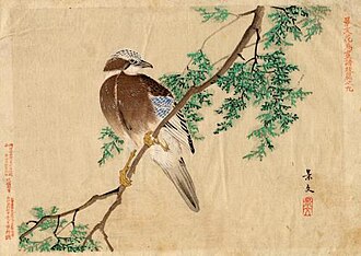 Bird on Branch by unknown artist - Matsumura Keibun