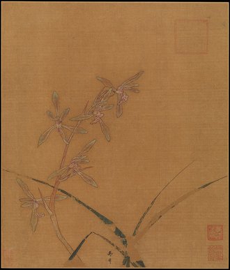 Orchids