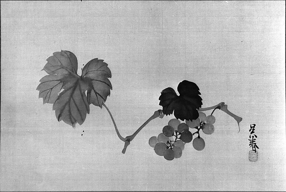 Grapevine