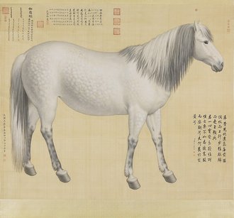 如意驄