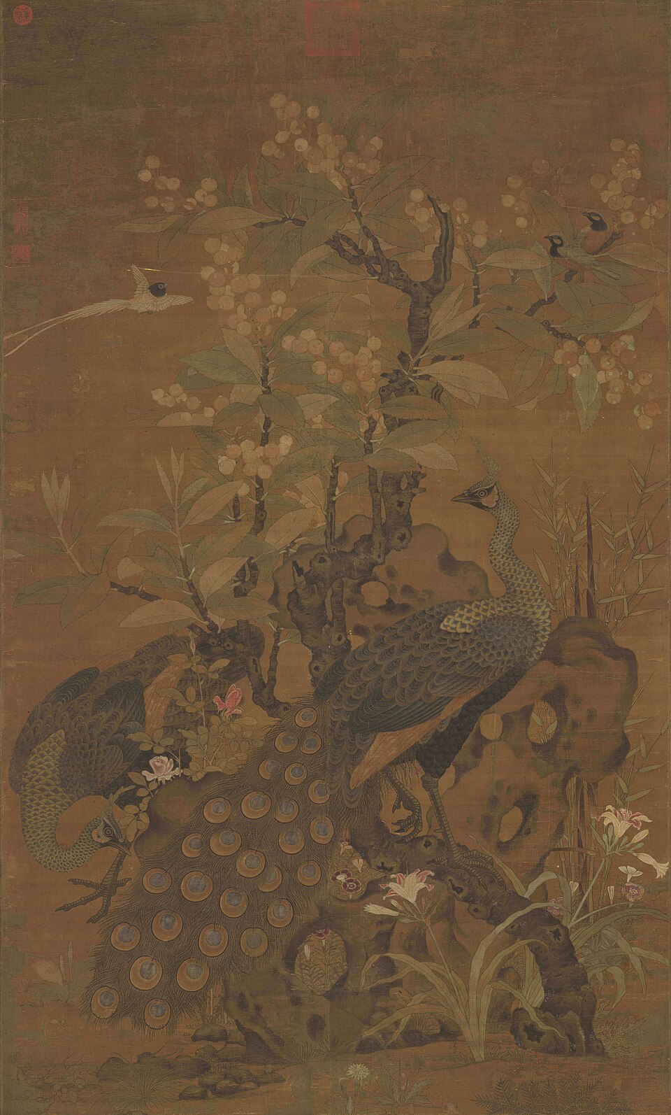 宋崔白畫枇杷孔雀　軸