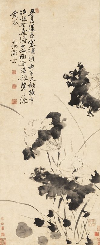 明  徐渭  五月莲花图轴