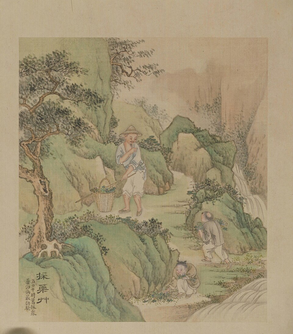 徐扬端阳故事册之采药草