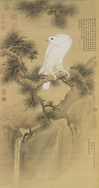 清郎世寧白鶻圖　軸