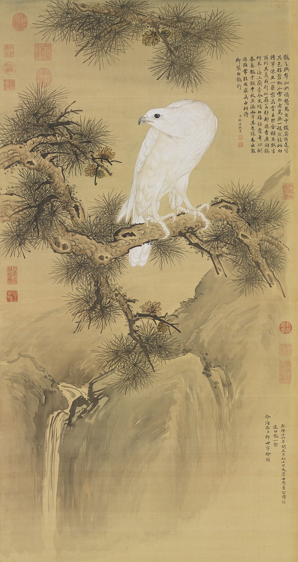 清郎世寧白鶻圖　軸