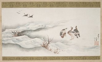 Wild Geese and Water