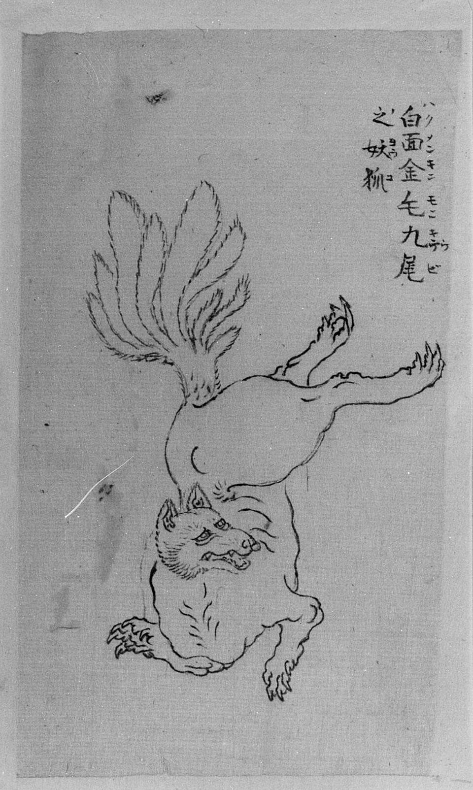 Nine-Tailed Golden Fox