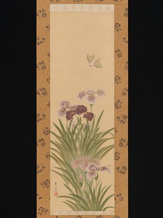 Irises and Moth
