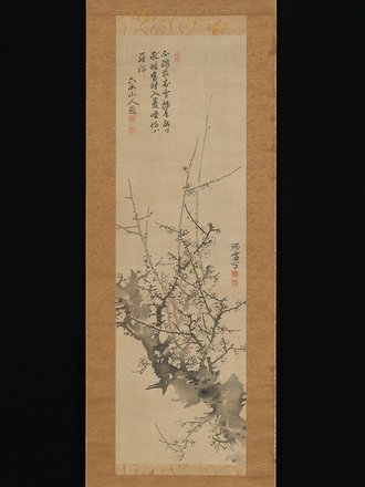 Plum Blossoms