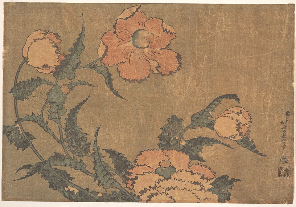 芥子