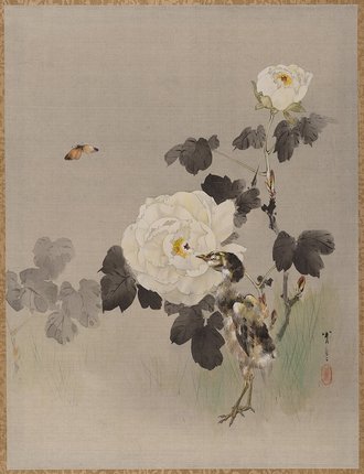 Roses, Young Bird and a Butterfly