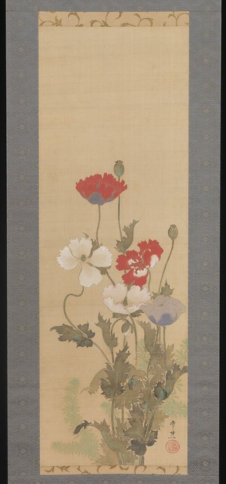 Poppies