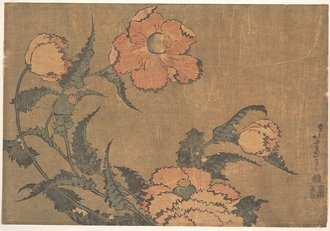芥子