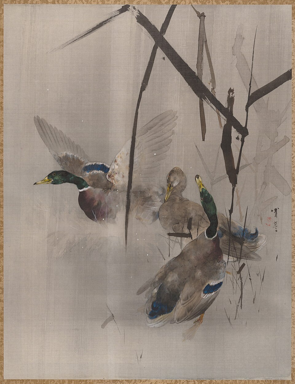 Ducks in the Rushes