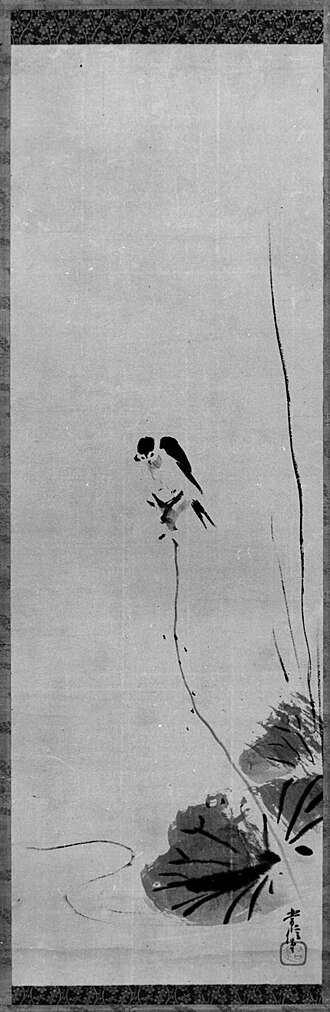 Swallow