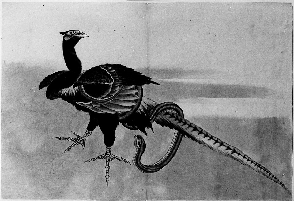 Pheasant and Snake