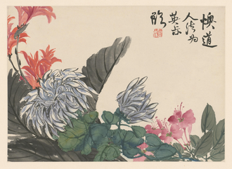 赵之谦花卉册