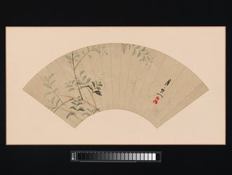 Bush Clover
