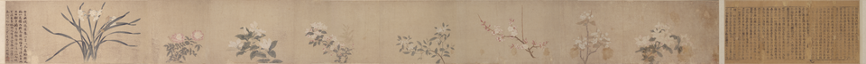 八花图